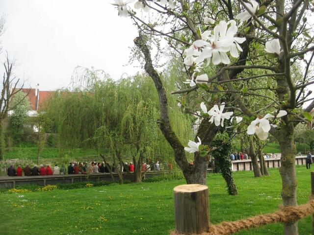 Bilder aus dem Stadtpark Rain