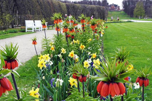 Im Schweriner Schlossgarten
