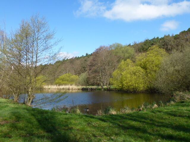 Auen-Landschaft