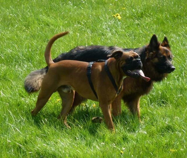 Freundschaft!