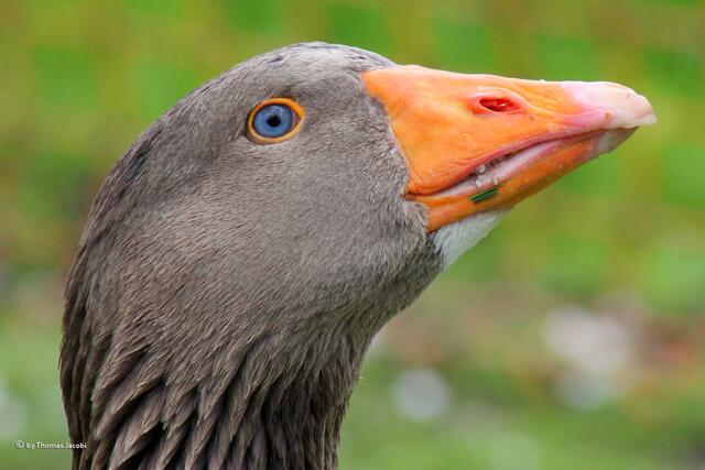 Erinnerte mich an das Lied: "Deine blauen Augen...