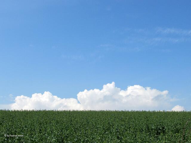 War das dann ein Wetterchen.