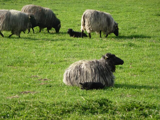 Kuschelrunde