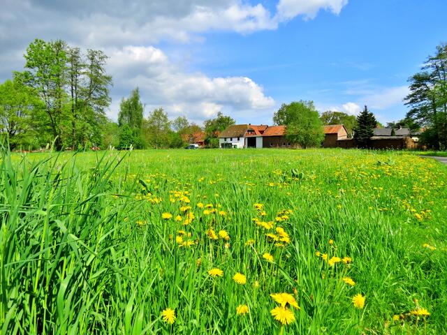 Blick zur Wassermühle.