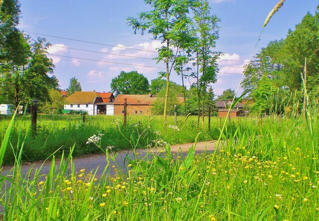 Eixer Wassermühle an der Fuhse.