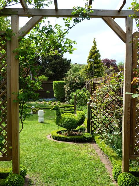 Blick durch die Pergola
