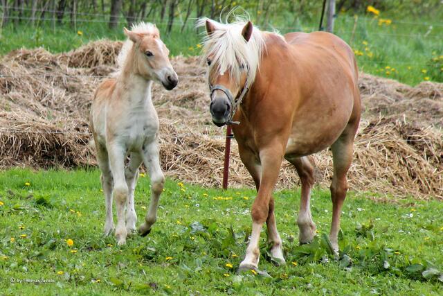...mit seiner Mama...