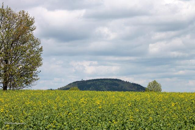 Naja, schon wieder der Pöhlberg. :-))