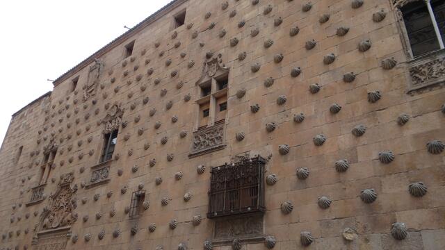 Haus der Muscheln (Casa de las Conchas) in Salamanca, Jakobsmuscheln
