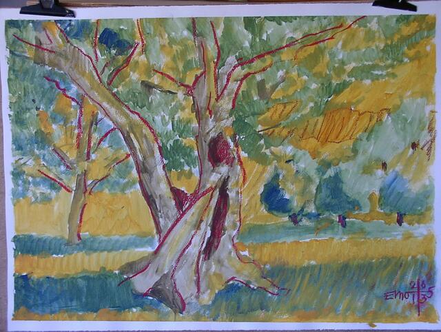 "Kretischer Olivenhain" Aquarell, 60x80 cm