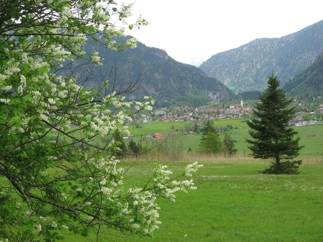 Das Foto zeigt uns den Passionsort Oberammergau vom Weg zur Romanshöhe.