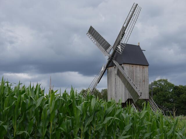 Mühle im Mais_Wettmar