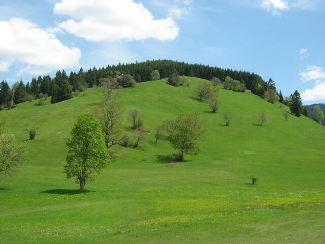 Unsere gemütlich, bayrische Buckellandschaft.