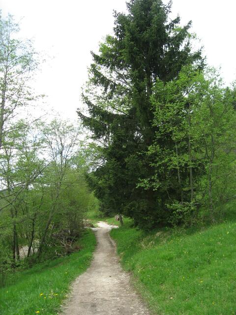 Hier wird der Weg schon flacher. Wir müssen bald da sein.