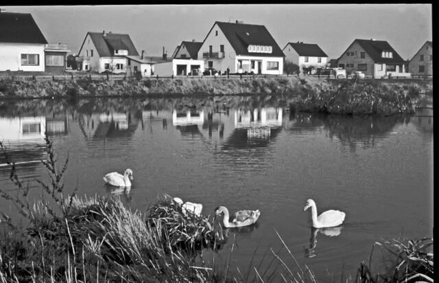 Eltzer Dorfteich 1968 (gescanntes Bild)