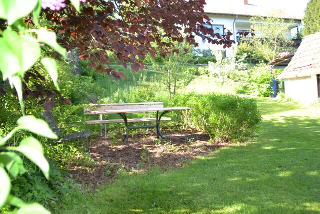 Sitzplatz unter der Hasel