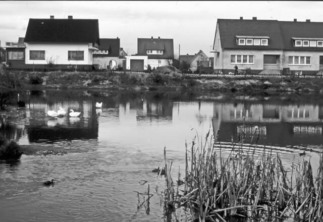 Eltzer Dorfteich 1968 (gescanntes Bild)