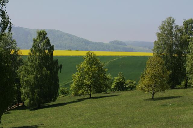 Blick Richtung Flugplatz