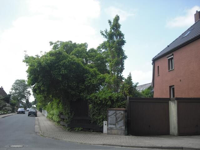 Aufnahme vom 19. Mai