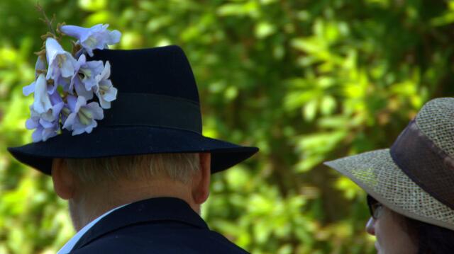 Gut behütet (mit der Blüte eines Blauglockenbaum)