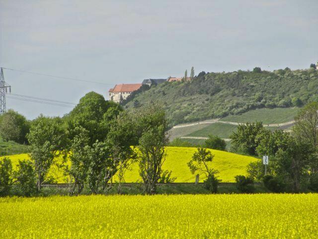 Neuenburg im Hintergrund