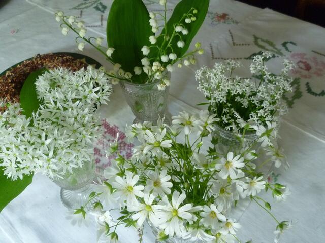 Bärlauch, Maiglöckchen, Sternmiere, Waldmeister