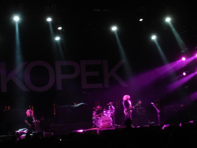 Campino und seine Toten Hosen begeistern in Augsburg