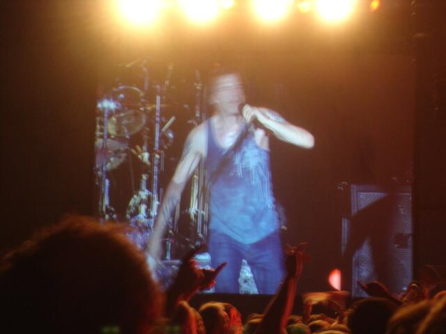 Campino und seine Toten Hosen begeistern in Augsburg