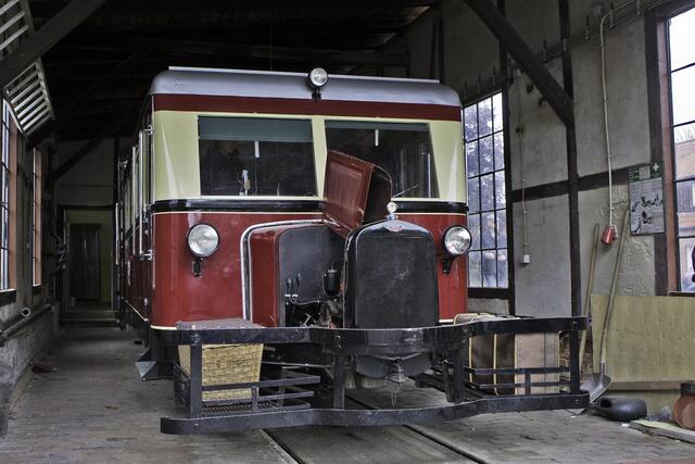 T 41 – Ameisenbär