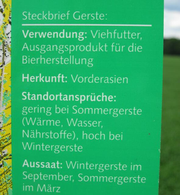 Na, dann "prosit" auf die Gerste!