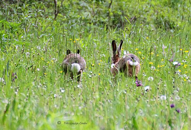 schnell weg die hat ne Kamera dabei
