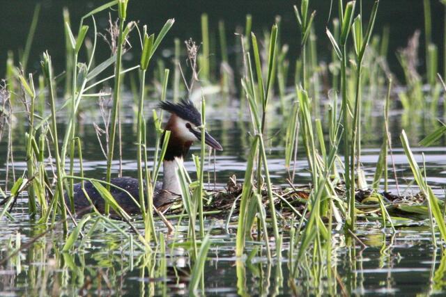 Hier wird noch gearbeitet.