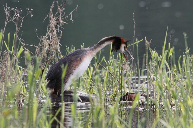 ...zwischendurch mal sein.