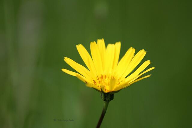 braucht sich auch nicht zu verstecken
