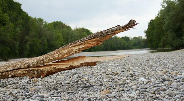 Hilfe schon wieder das Lech Krokodil