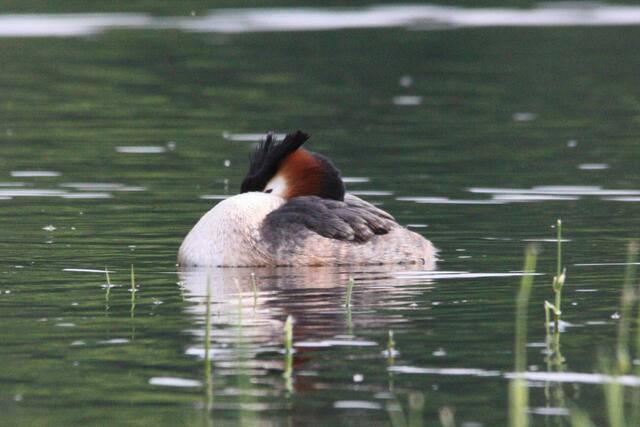Zwischendurch ein Nickerchen