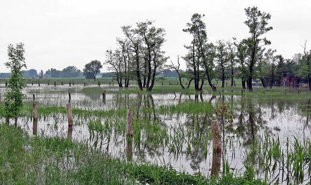 Fuhseniederung zwischen Peine-Handorf und Klein Ilsede