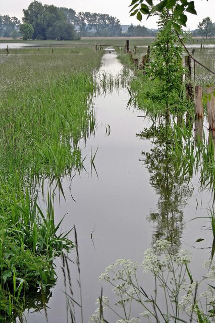 Fuhseniederung zwischen Peine-Handorf und Klein Ilsede