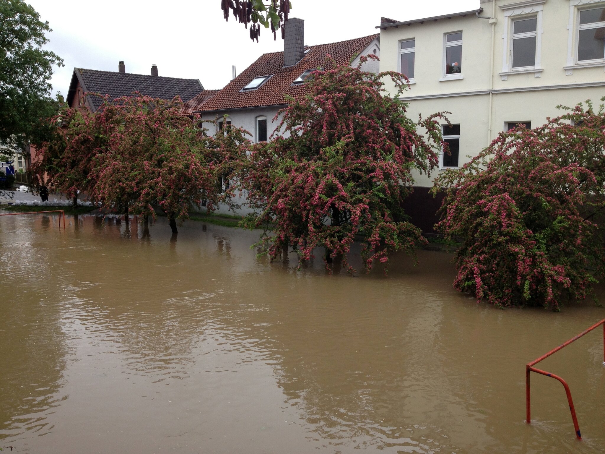 Hochwasser in Sarstedt Sarstedt