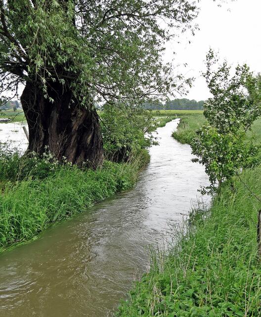 Beeke bei Ilsede