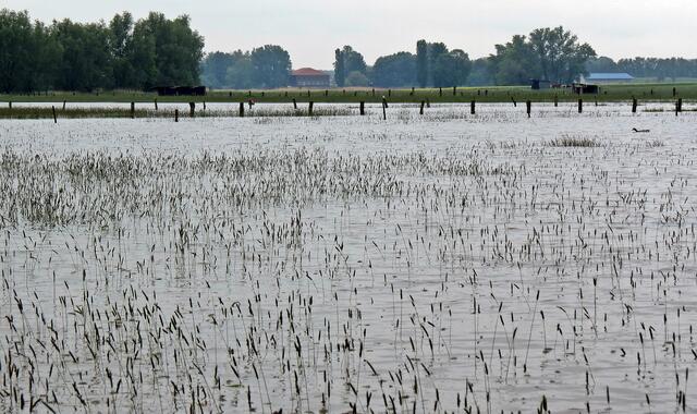 Fuhseniederung zwischen Peine-Handorf und Klein Ilsede