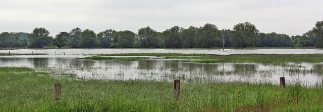 Fuhseniederung bei Ilsede