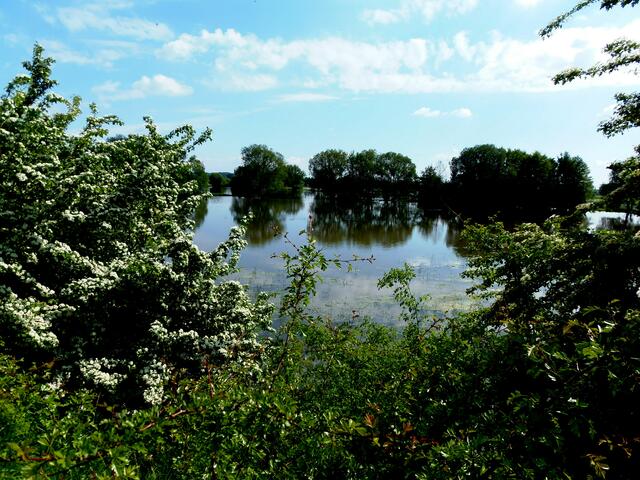 Blick über die Brücke beim Schacht "Emilie"