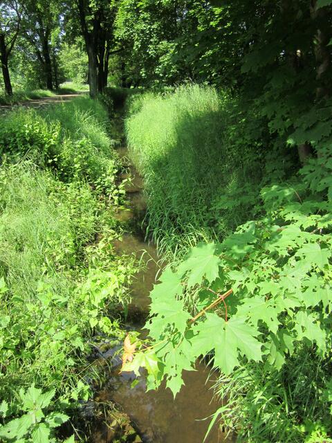 Der Graben hat sonst kein Wasser.