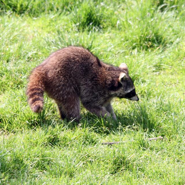 Hier fühlt es sich warm an.