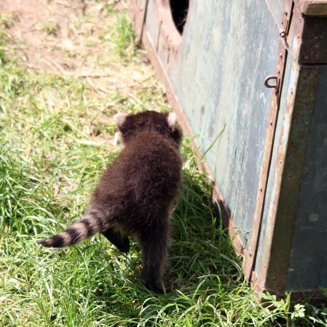 Na, da schaue ich doch lieber, dass ich wieder nach Hause komme.