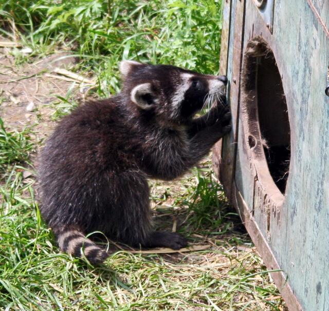 Hier wohne ich. Schön, oder?