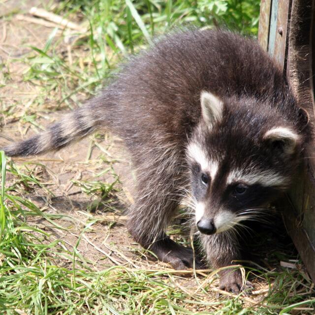 So, nun wollen wir mal die große Welt erkunden.