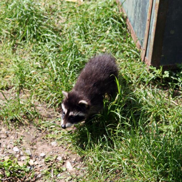 Uih, echt komisch hier - alles so grüüüün.