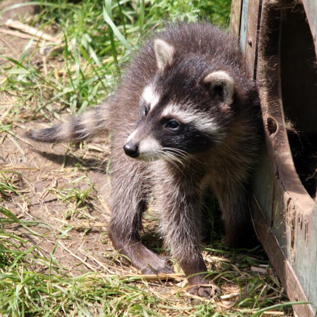 Ein Jungspund auf Entdecker-Tour!
